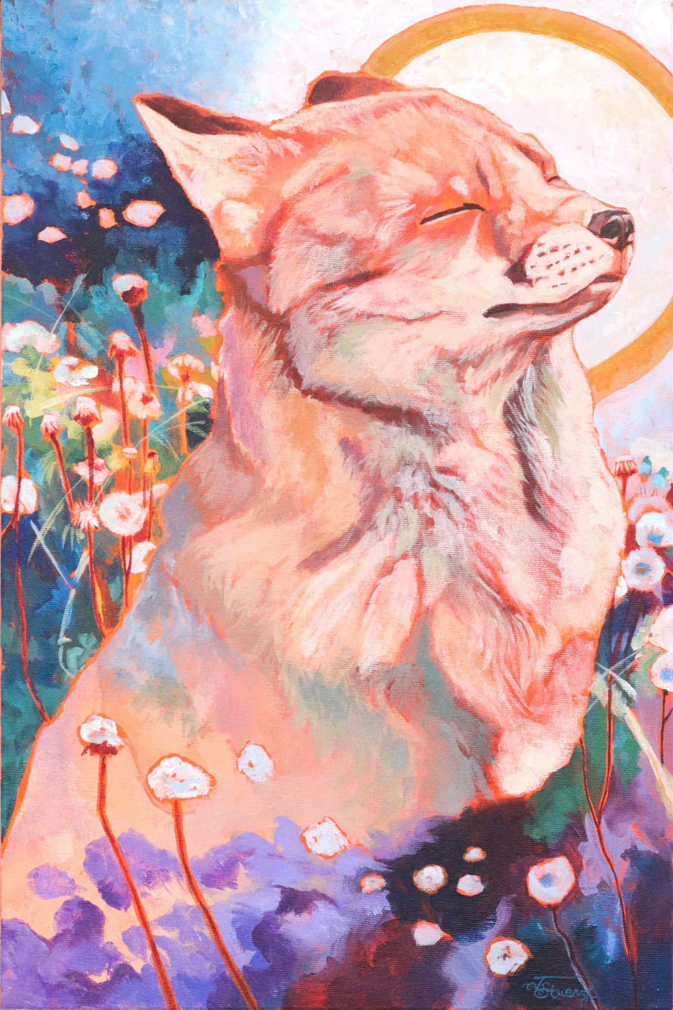 "Dreamer"